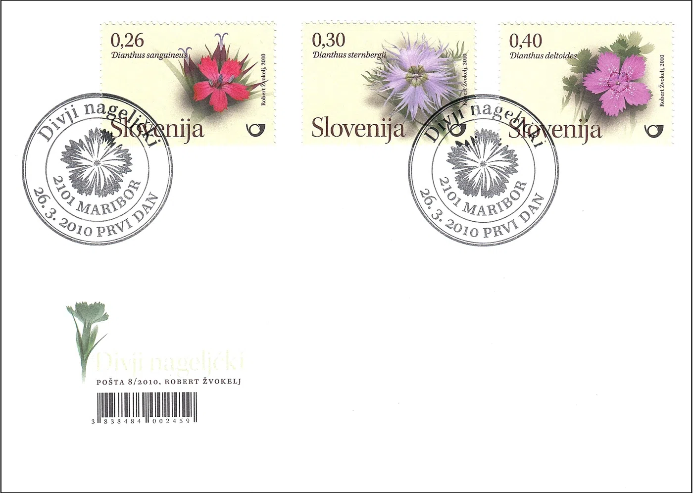 FLORA - DIVJI NAGELJČKI